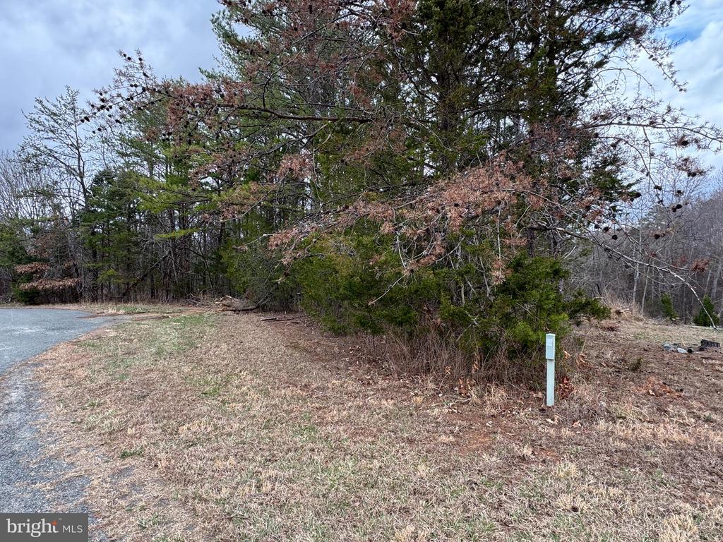 HARNESS LN, LOUISA, Virginia 23093, ,Land,HARNESS LN,VALA2009772 MLS # VALA2009772