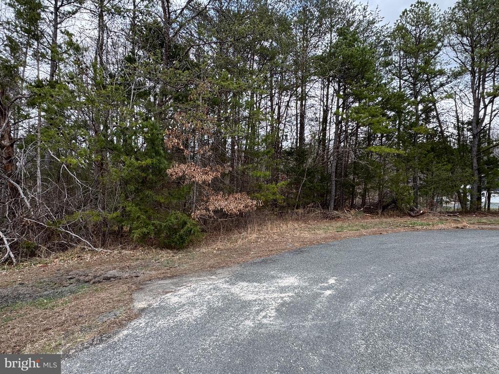 HARNESS LN, LOUISA, Virginia 23093, ,Land,HARNESS LN,VALA2009772 MLS # VALA2009772