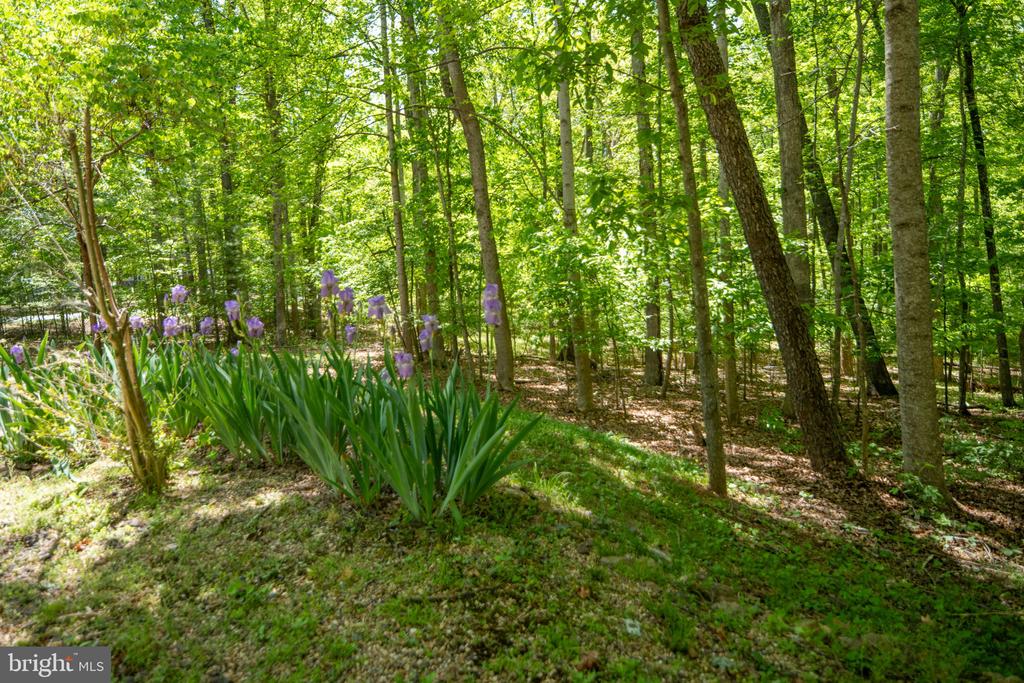 11154 ALUM SPRINGS RD, CULPEPER, Virginia 22701, 4 Bedrooms Bedrooms, ,3 BathroomsBathrooms,Residential,11154 ALUM SPRINGS RD,VACU2013362 MLS # VACU2013362