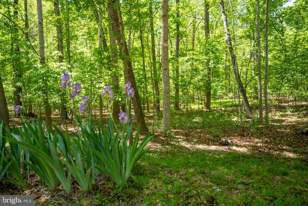 11154 ALUM SPRINGS RD, CULPEPER, Virginia 22701, 4 Bedrooms Bedrooms, ,3 BathroomsBathrooms,Residential,11154 ALUM SPRINGS RD,VACU2013362 MLS # VACU2013362