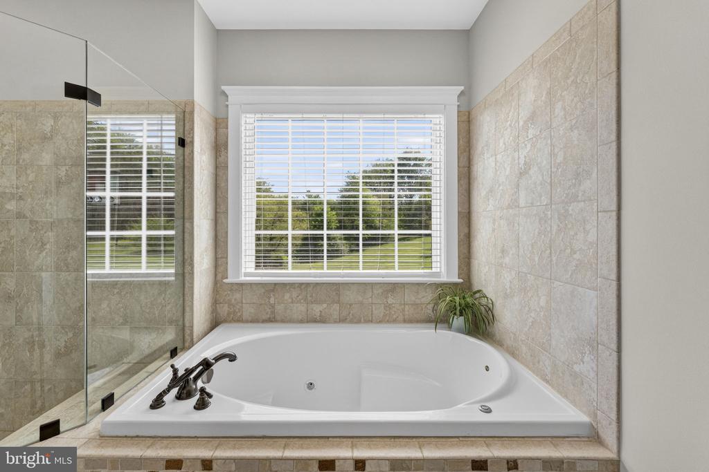 18438 SNAFFLE LN, CULPEPER, Virginia 22701, 4 Bedrooms Bedrooms, ,4 BathroomsBathrooms,Residential,18438 SNAFFLE LN,VACU2013402 MLS # VACU2013402
