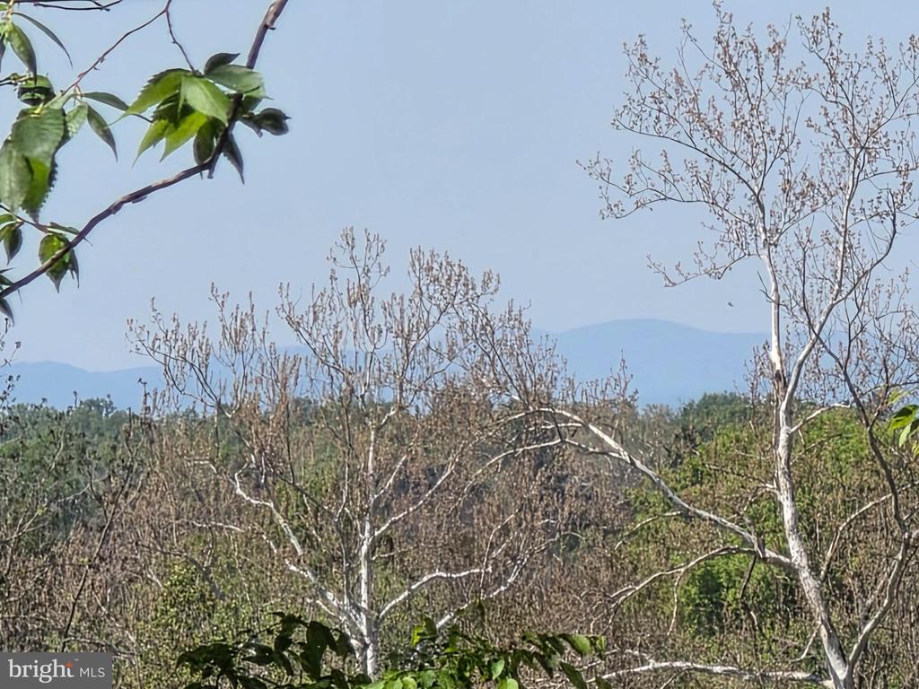 LEIGH RD, WARRENTON, Virginia 20186, ,Land,LEIGH RD,VAFQ2021752 MLS # VAFQ2021752