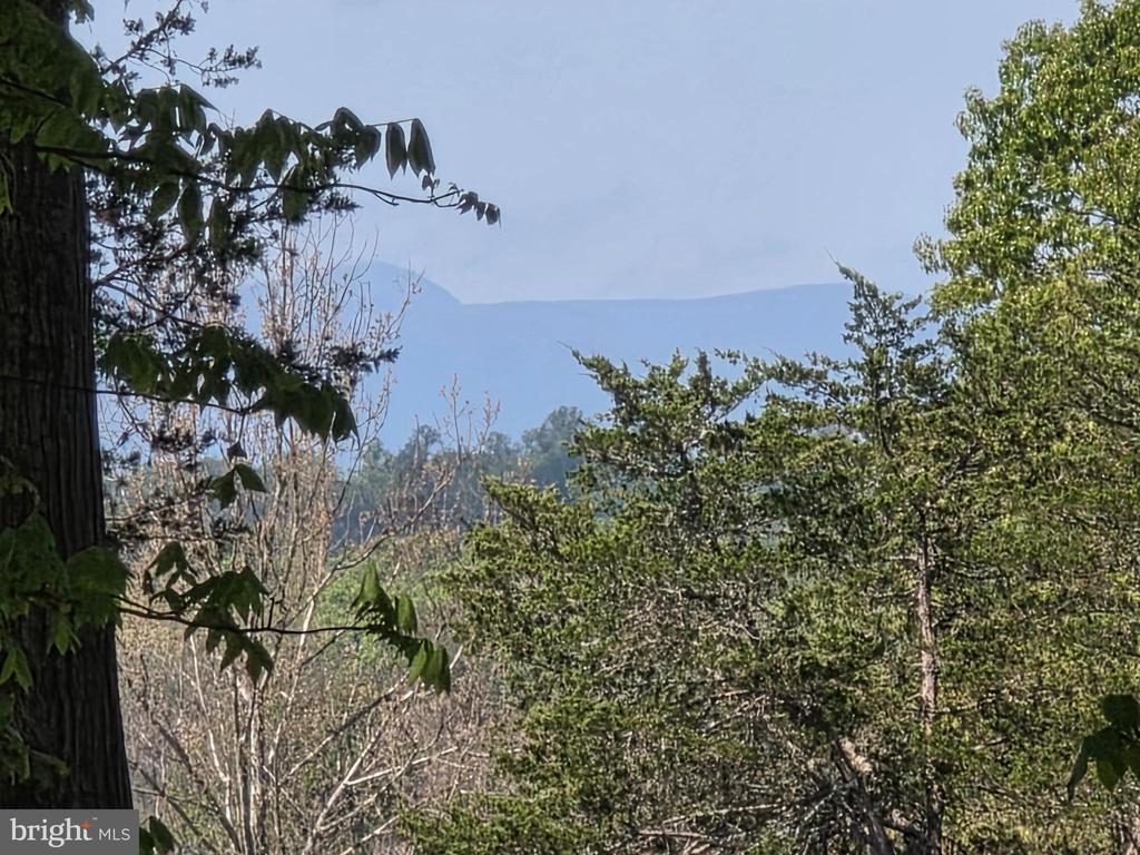 LEIGH RD, WARRENTON, Virginia 20186, ,Land,LEIGH RD,VAFQ2021752 MLS # VAFQ2021752