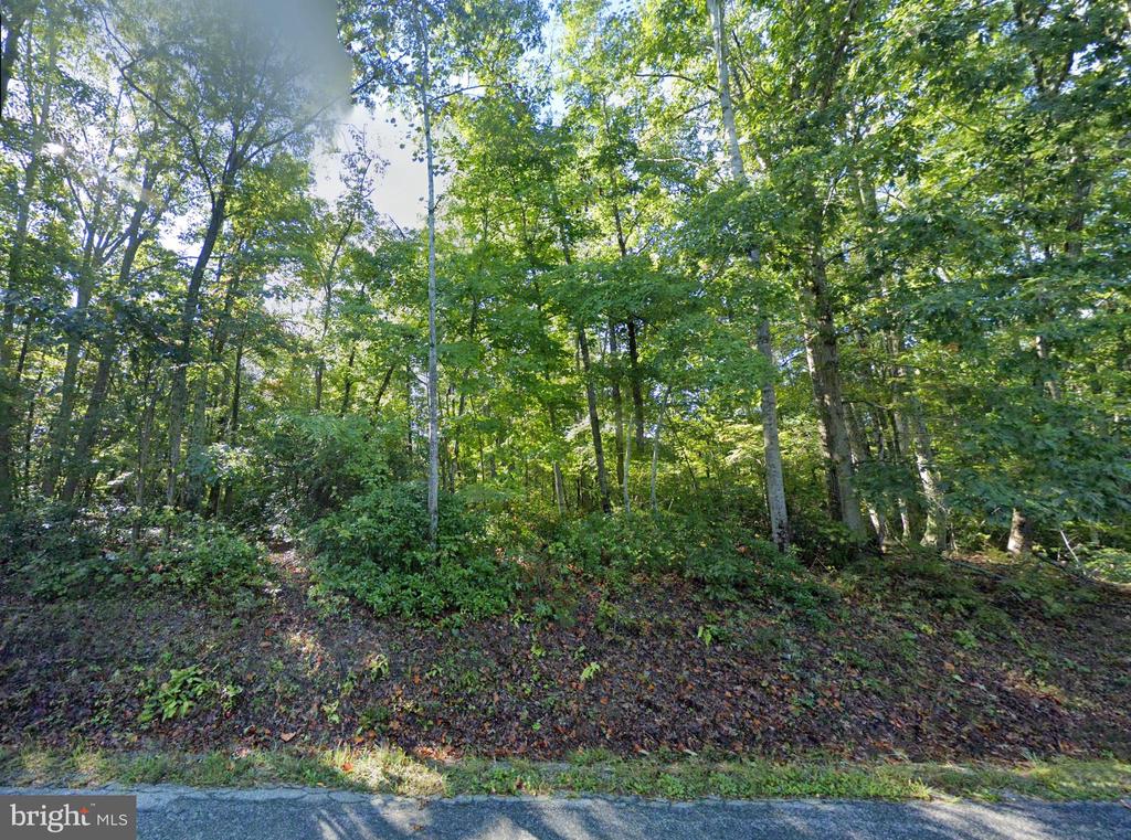 LAUREL RD, SHIPMAN, Virginia 22971, ,Land,LAUREL RD,VANL2000660 MLS # VANL2000660