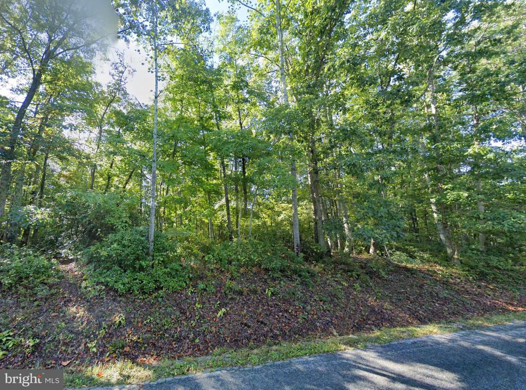 LAUREL RD, SHIPMAN, Virginia 22971, ,Land,LAUREL RD,VANL2000660 MLS # VANL2000660