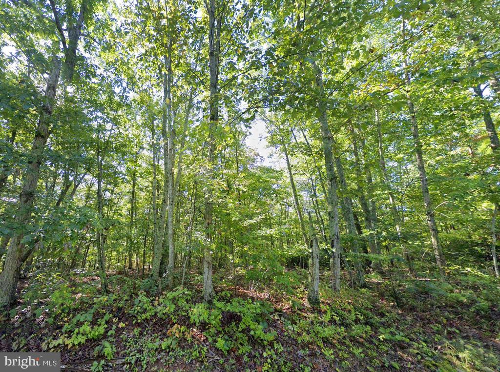 LAUREL RD, SHIPMAN, Virginia 22971, ,Land,LAUREL RD,VANL2000660 MLS # VANL2000660
