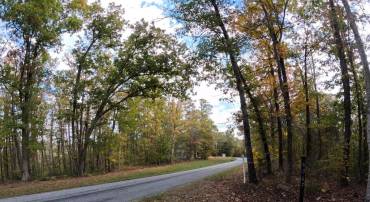 LAUREL RD, SHIPMAN, Virginia 22971, ,Land,LAUREL RD,VANL2000660 MLS # VANL2000660