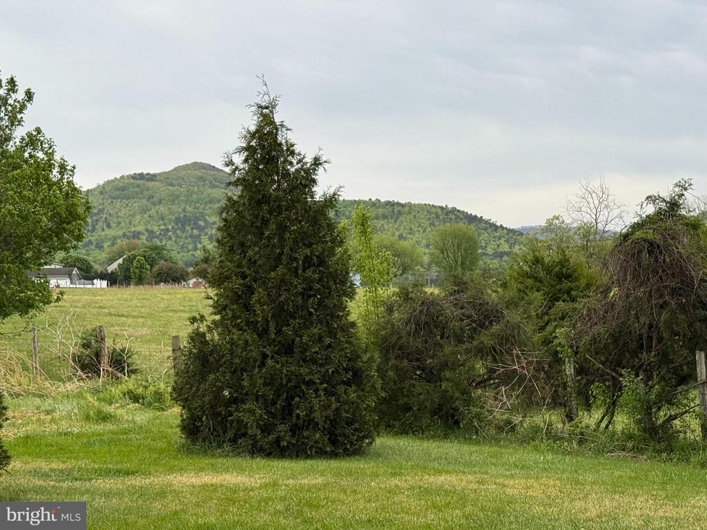 LEOLA LOOP, STANLEY, Virginia 22851, ,Land,LEOLA LOOP,VAPA2006356 MLS # VAPA2006356