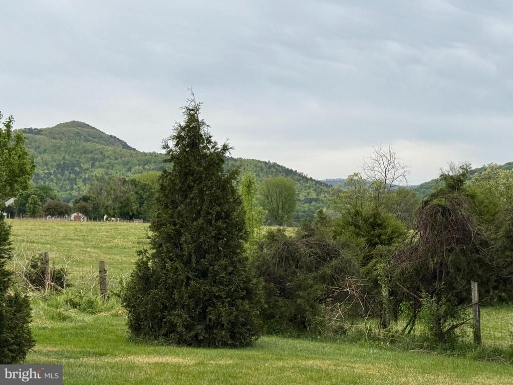 LEOLA LOOP, STANLEY, Virginia 22851, ,Land,LEOLA LOOP,VAPA2006356 MLS # VAPA2006356