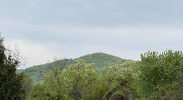 LEOLA LOOP, STANLEY, Virginia 22851, ,Land,LEOLA LOOP,VAPA2006356 MLS # VAPA2006356