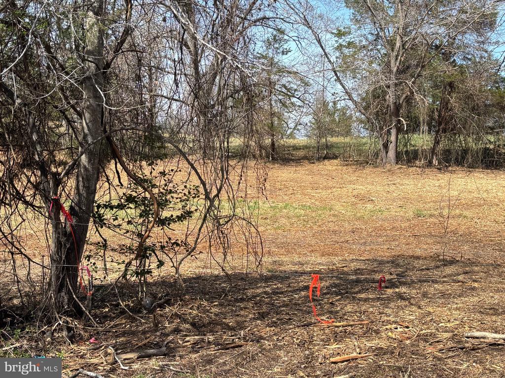2502 HOLLY SPRINGS DR., AMISSVILLE, Virginia 20106, ,Land,2502 HOLLY SPRINGS DR.,VACU2013460 MLS # VACU2013460