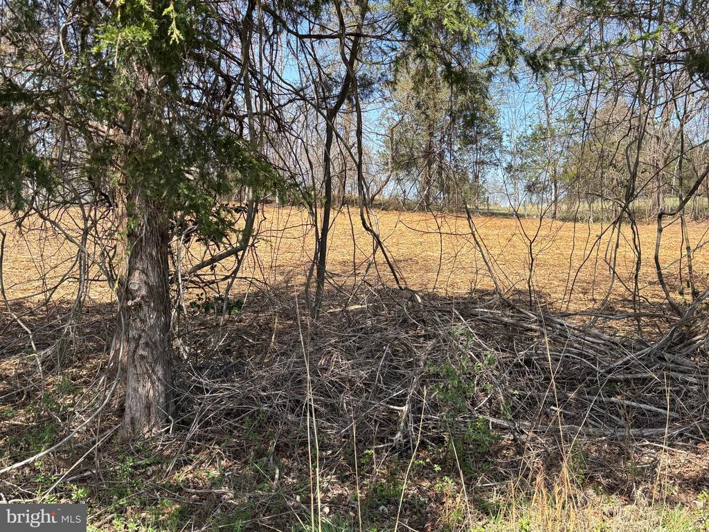 2502 HOLLY SPRINGS DR., AMISSVILLE, Virginia 20106, ,Land,2502 HOLLY SPRINGS DR.,VACU2013460 MLS # VACU2013460