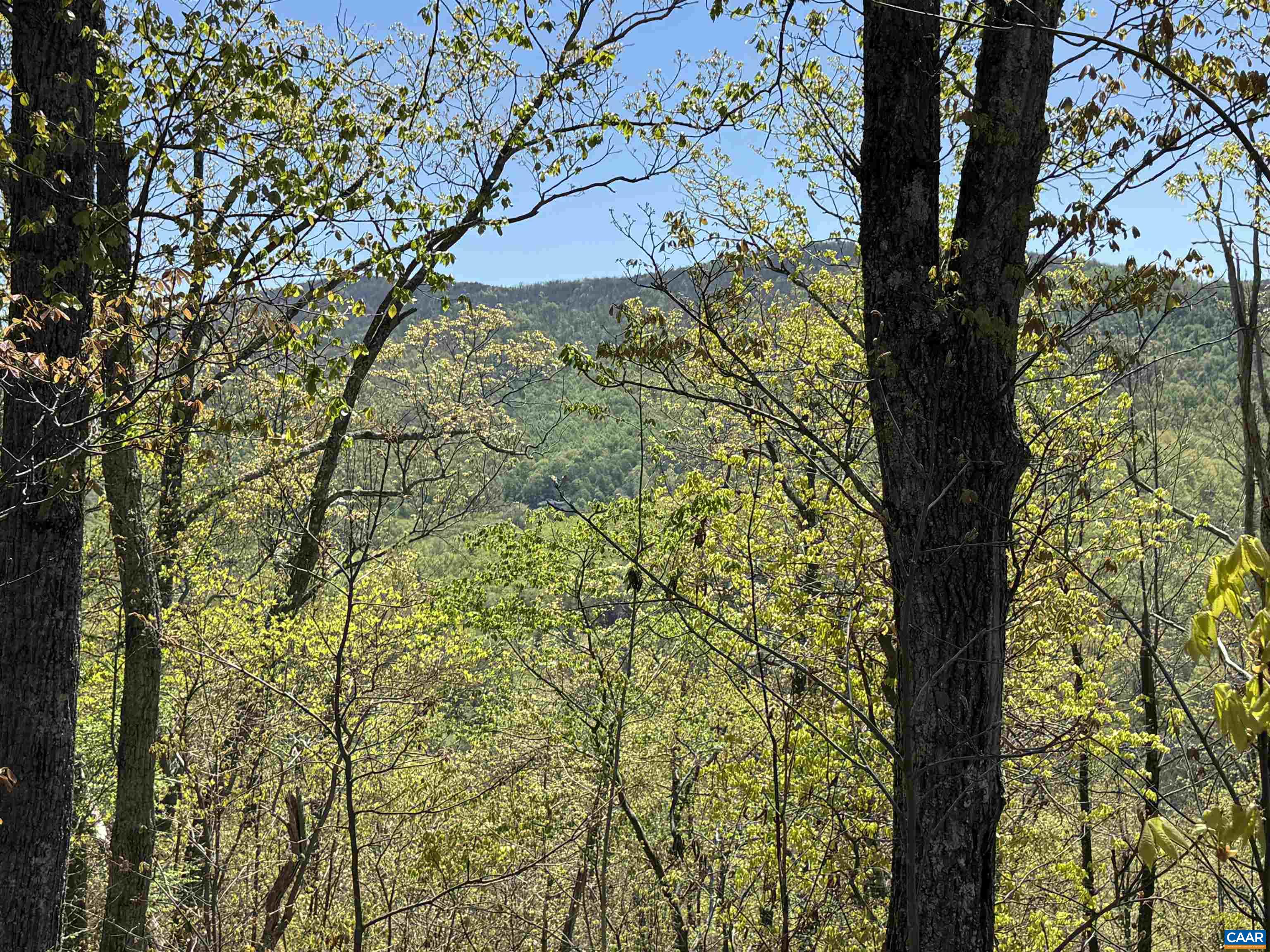 Lot #5 FOX RIDGE LN, WAYNESBORO, Virginia 22980, ,Land,Lot #5 FOX RIDGE LN,676400 MLS # 676400