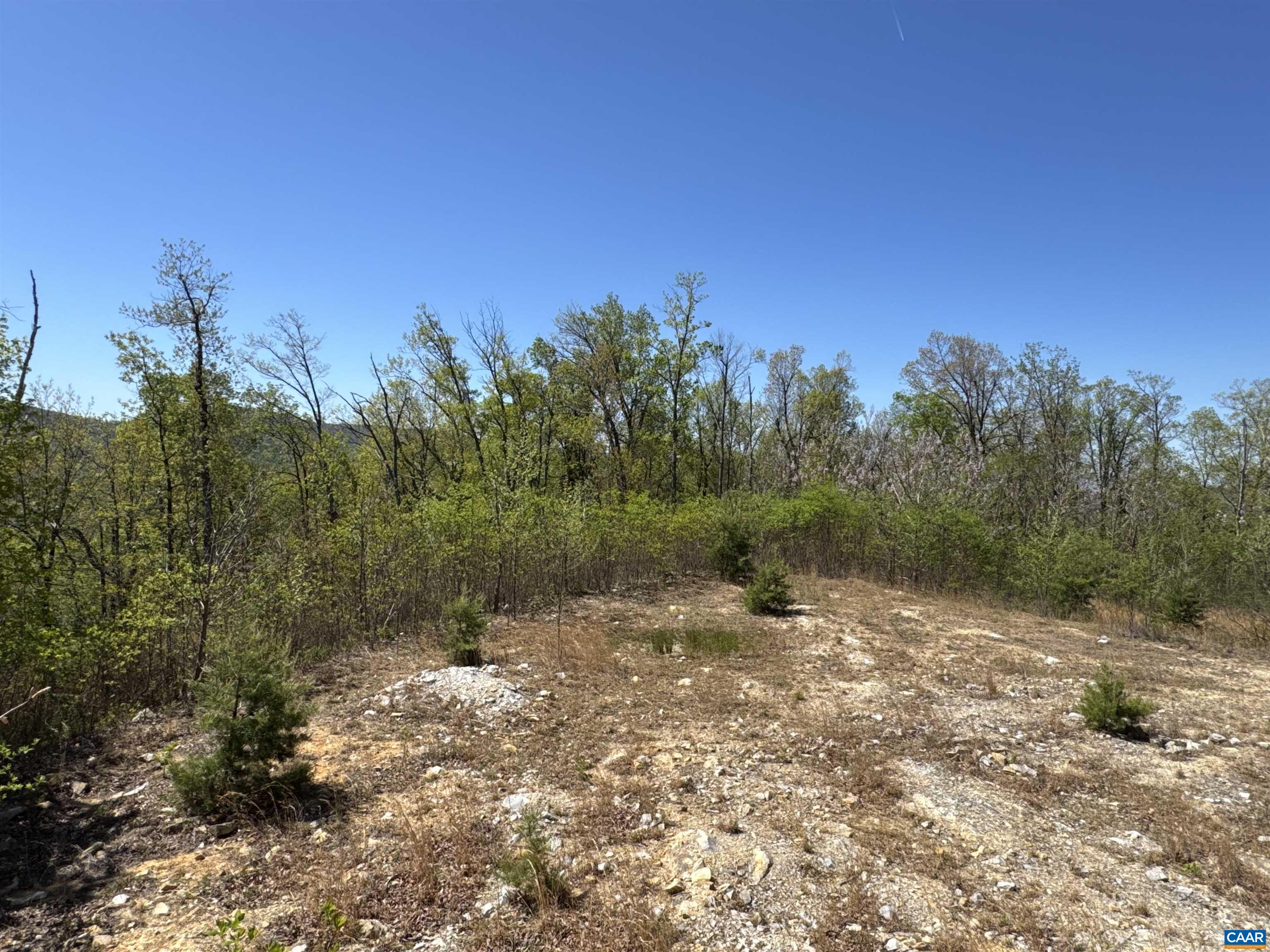 Lot #5 FOX RIDGE LN, WAYNESBORO, Virginia 22980, ,Land,Lot #5 FOX RIDGE LN,676400 MLS # 676400