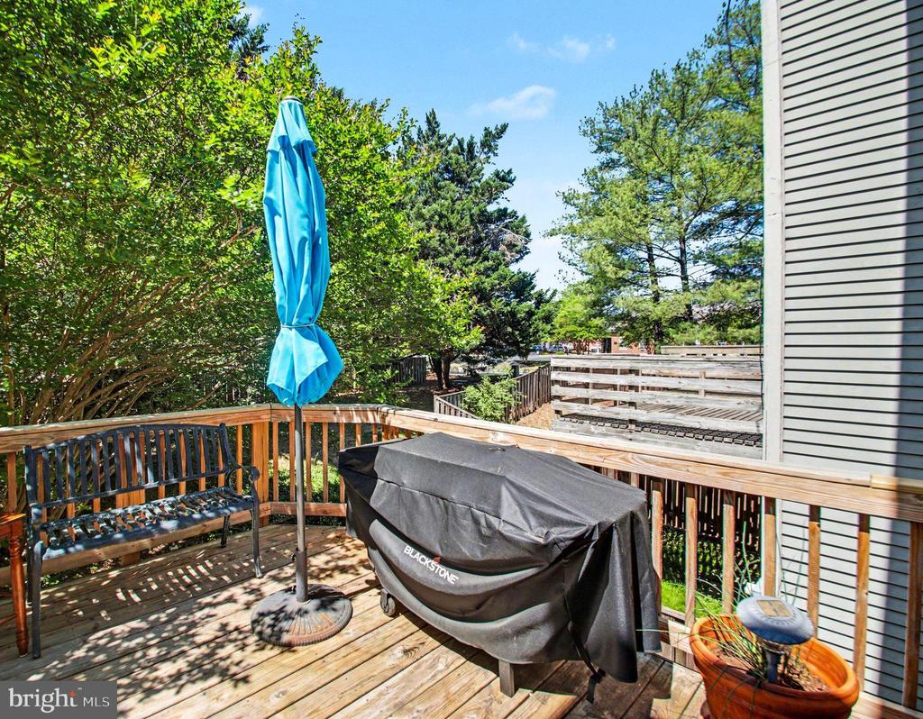 10738 BRICE CT, FREDERICKSBURG, Virginia 22407, 2 Bedrooms Bedrooms, ,2 BathroomsBathrooms,Residential,BALLANTRAYE,10738 BRICE CT,VASP2040904 MLS # VASP2040904