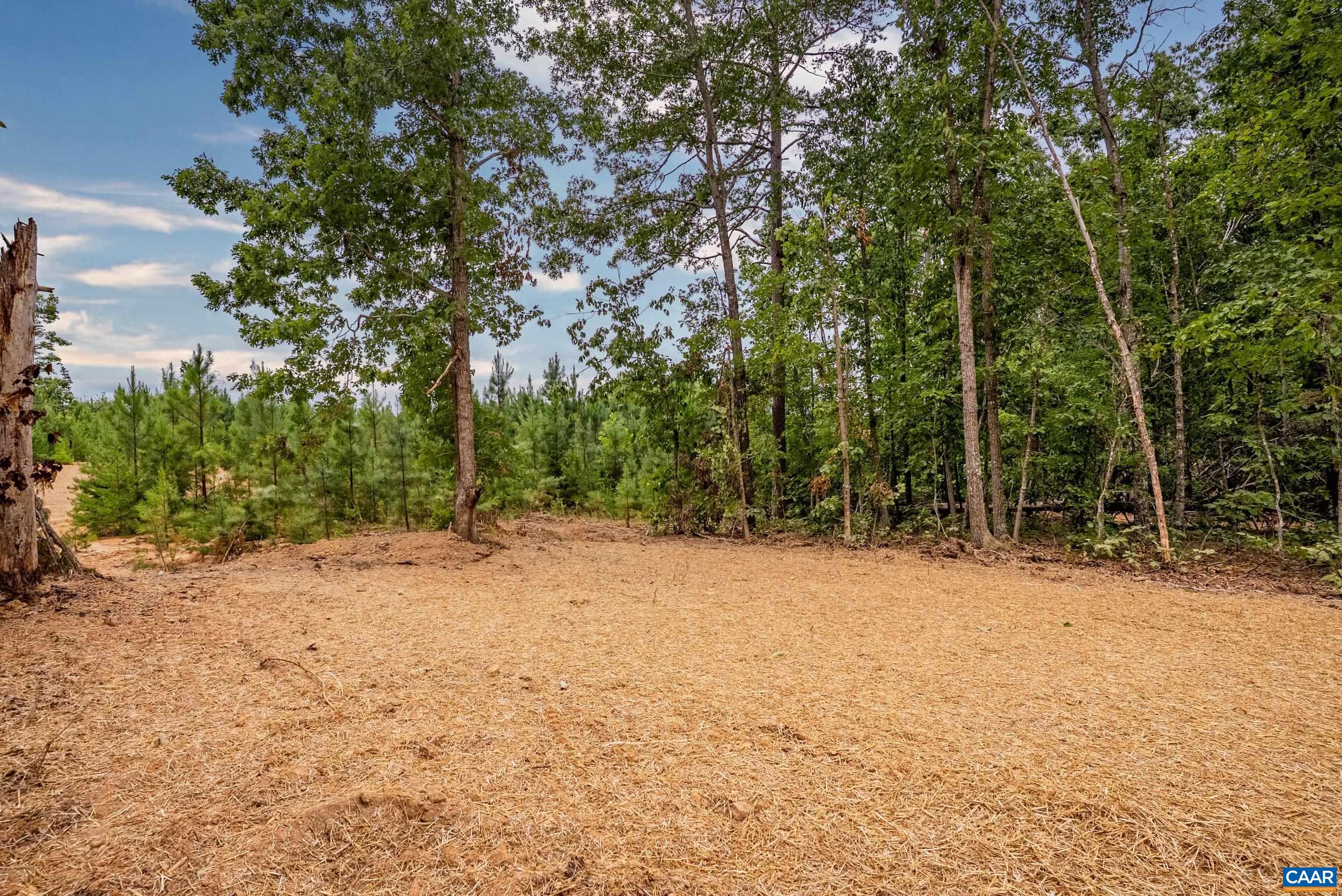 594 COMMUNITY RD, DILLWYN, Virginia 23936, 3 Bedrooms Bedrooms, ,2 BathroomsBathrooms,Residential,594 COMMUNITY RD,676415 MLS # 676415