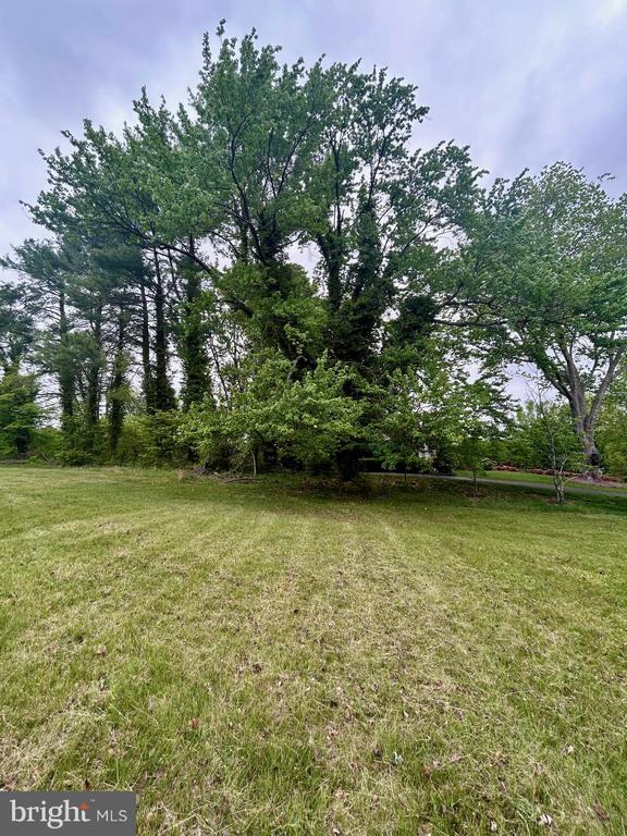 E MAIN ST, ORANGE, Virginia 22960, ,Land,E MAIN ST,VAOR2013992 MLS # VAOR2013992