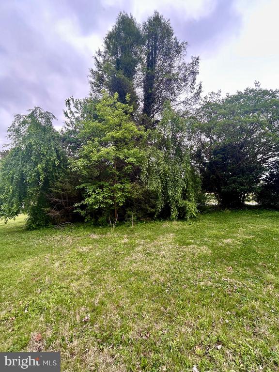 E MAIN ST, ORANGE, Virginia 22960, ,Land,E MAIN ST,VAOR2013992 MLS # VAOR2013992