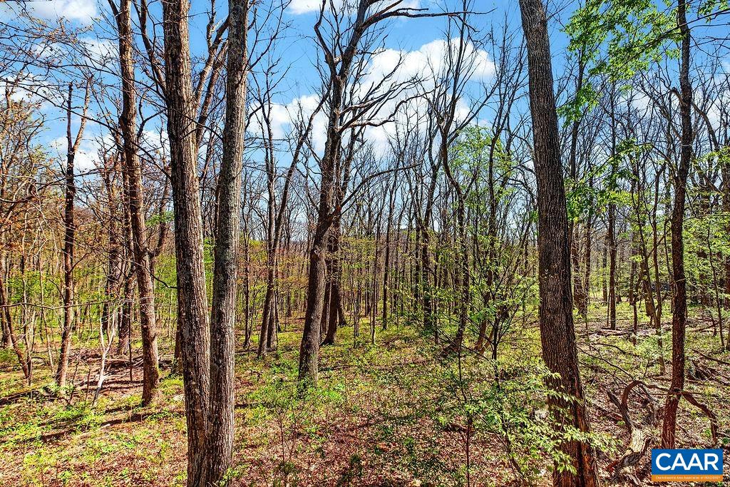 952 BLUE RIDGE DR, WINTERGREEN RESORT, Virginia 22967, 5 Bedrooms Bedrooms, ,4 BathroomsBathrooms,Residential,952 BLUE RIDGE DR,676279 MLS # 676279