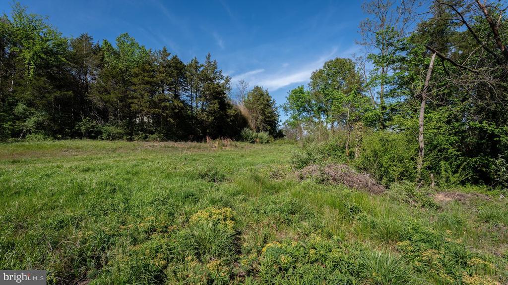 0 SKYVIEW DR, LURAY, Virginia 22835, ,Land,0 SKYVIEW DR,VAPA2006338 MLS # VAPA2006338