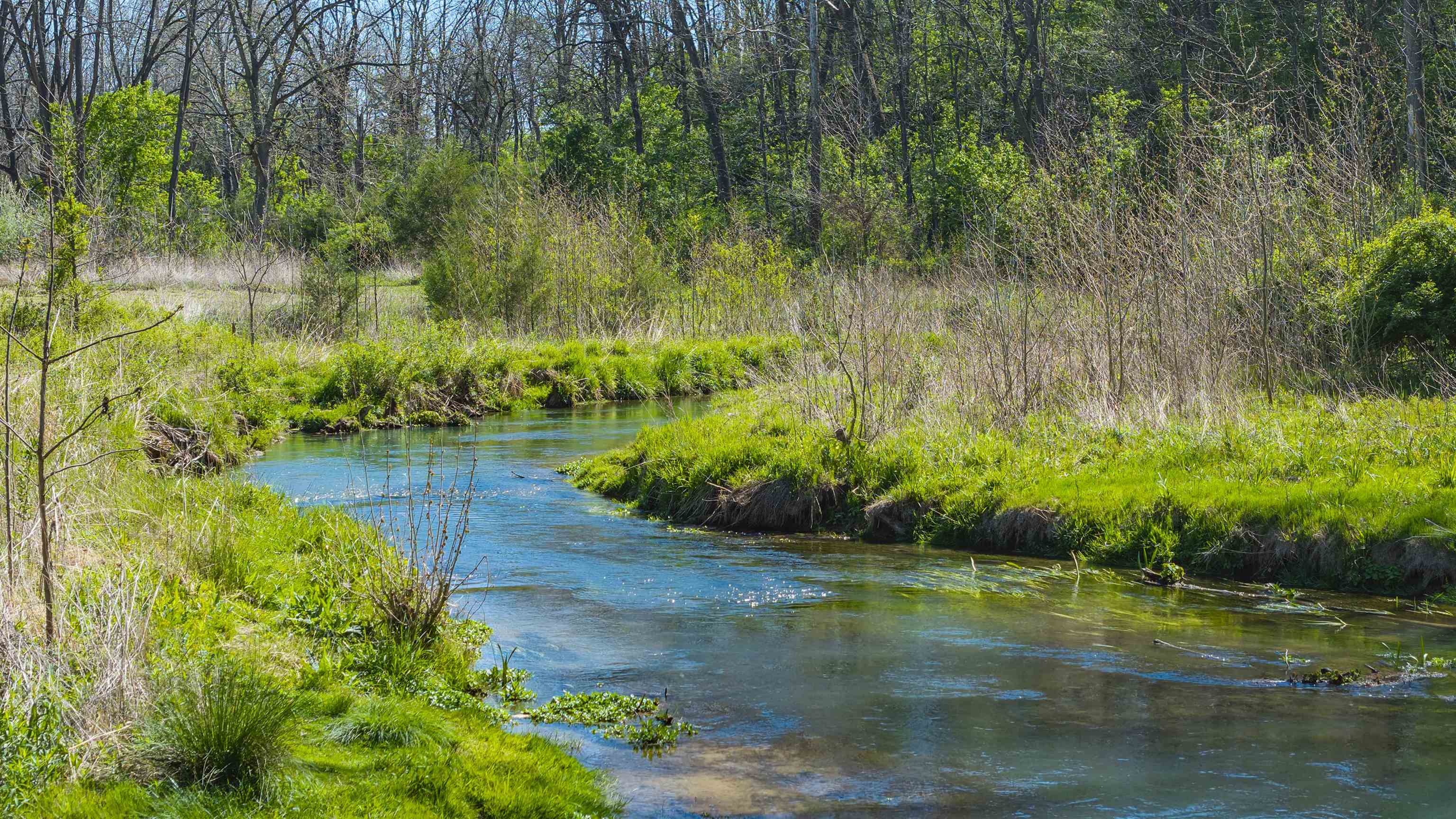 TBD MOSSY CREEK RD, BRIDGEWATER, Virginia 22812, ,Land,TBD MOSSY CREEK RD,676453 MLS # 676453