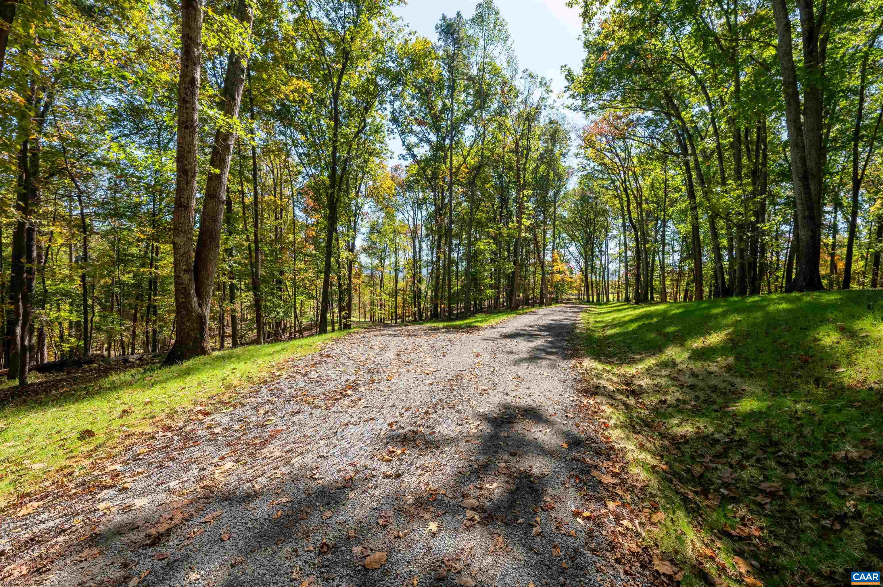 7337-4 DICK WOODS RD, AFTON, Virginia 22920, ,Land,Happy Hollow Lot 4,7337-4 DICK WOODS RD,676455 MLS # 676455