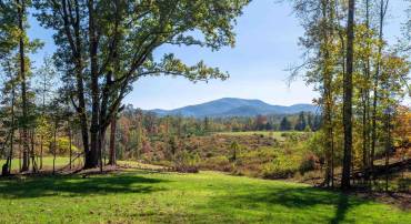 7337-4 DICK WOODS RD, AFTON, Virginia 22920, ,Land,Happy Hollow Lot 4,7337-4 DICK WOODS RD,676455 MLS # 676455