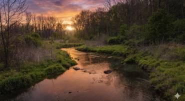 TBD MOSSY CREEK RD, BRIDGEWATER, Virginia 22812, ,Land,TBD MOSSY CREEK RD,676477 MLS # 676477