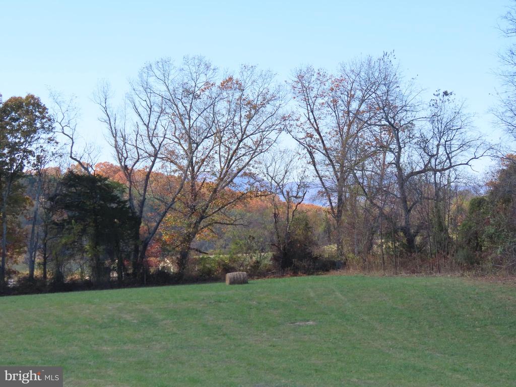 419 RUDASILL MILL RD, WOODVILLE, Virginia 22749, 2 Bedrooms Bedrooms, ,3 BathroomsBathrooms,Residential,419 RUDASILL MILL RD,VARP2002540 MLS # VARP2002540