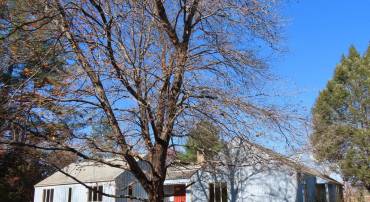 419 RUDASILL MILL RD, WOODVILLE, Virginia 22749, 2 Bedrooms Bedrooms, ,3 BathroomsBathrooms,Residential,419 RUDASILL MILL RD,VARP2002540 MLS # VARP2002540