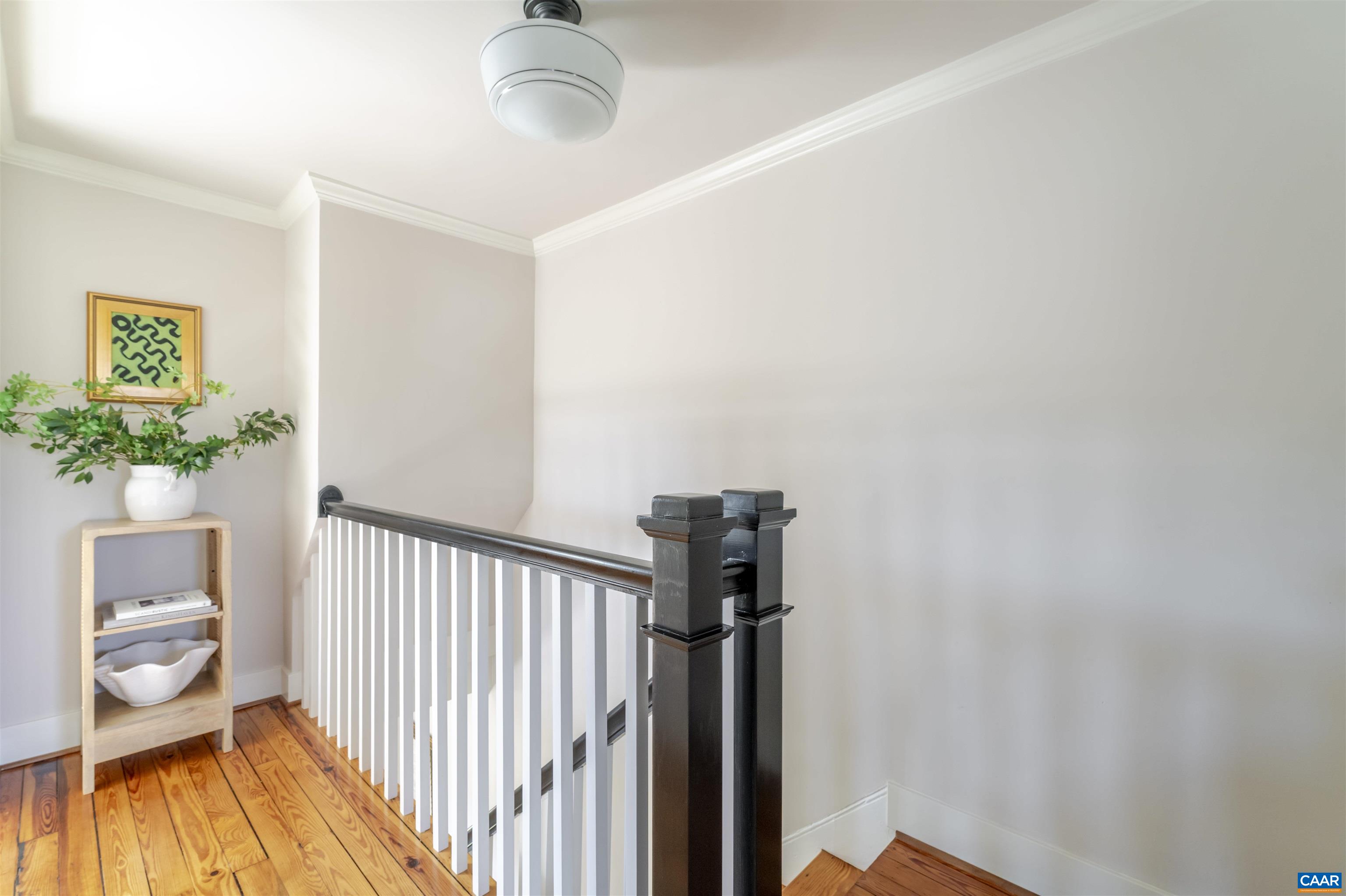 1107 MYRTLE ST, CHARLOTTESVILLE, Virginia 22902, 2 Bedrooms Bedrooms, ,2 BathroomsBathrooms,Residential,1107 MYRTLE ST,671546 MLS # 671546