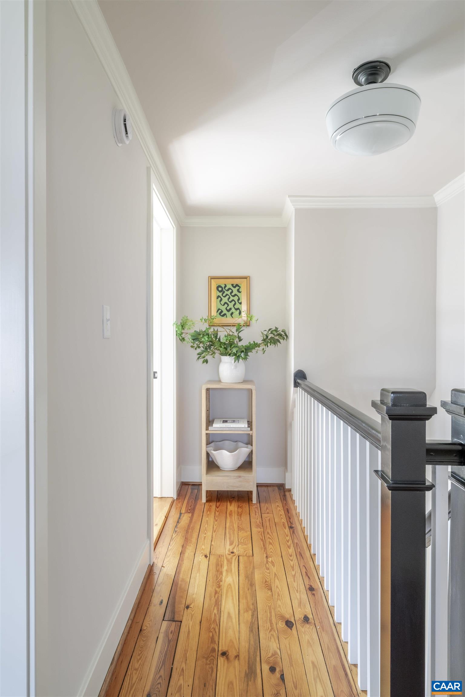 1107 MYRTLE ST, CHARLOTTESVILLE, Virginia 22902, 2 Bedrooms Bedrooms, ,2 BathroomsBathrooms,Residential,1107 MYRTLE ST,671546 MLS # 671546