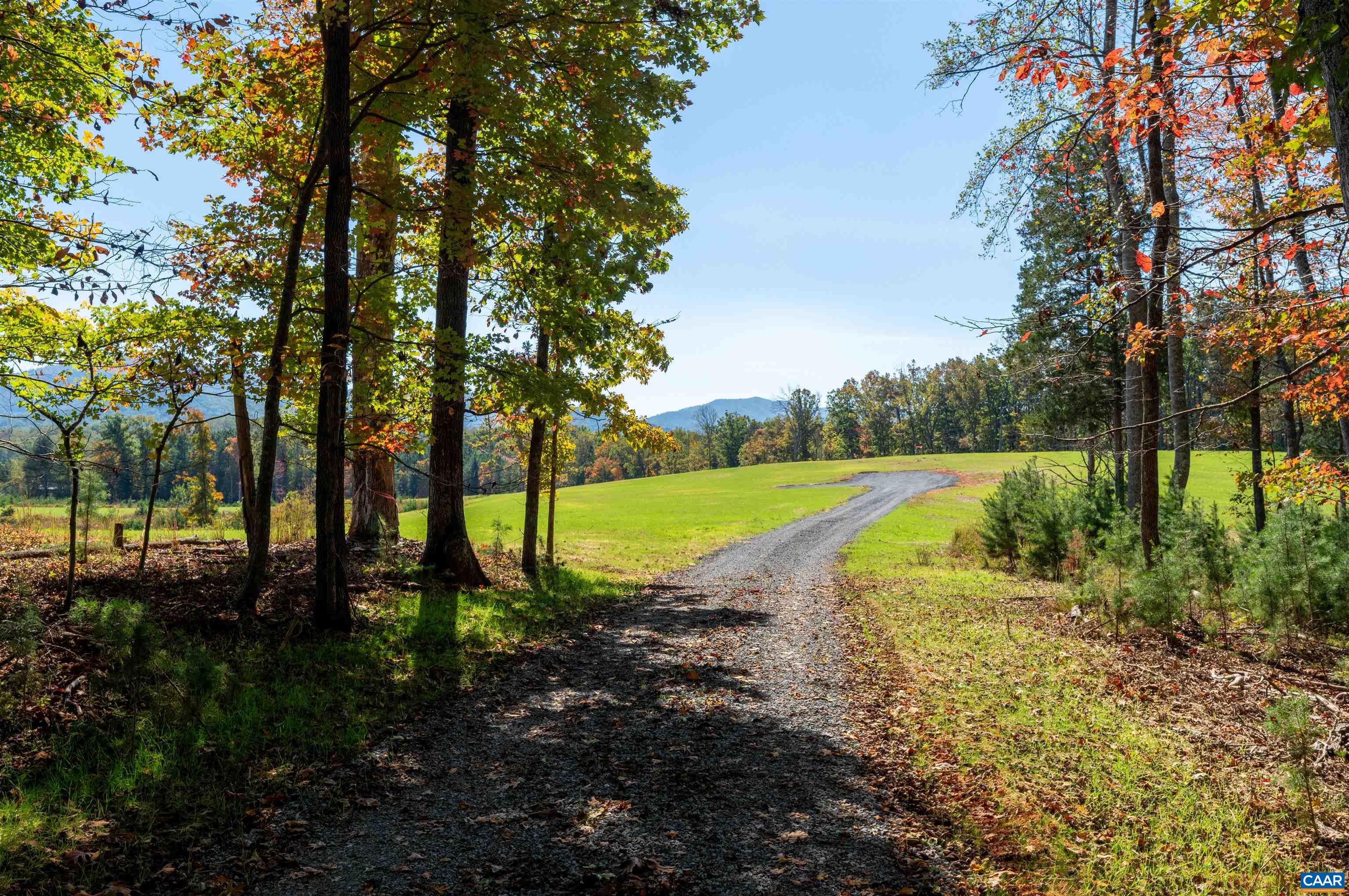 7337-4B DICK WOODS RD, AFTON, Virginia 22920, 5 Bedrooms Bedrooms, ,5 BathroomsBathrooms,Residential,Happy Hollow Lot 4,7337-4B DICK WOODS RD,676464 MLS # 676464