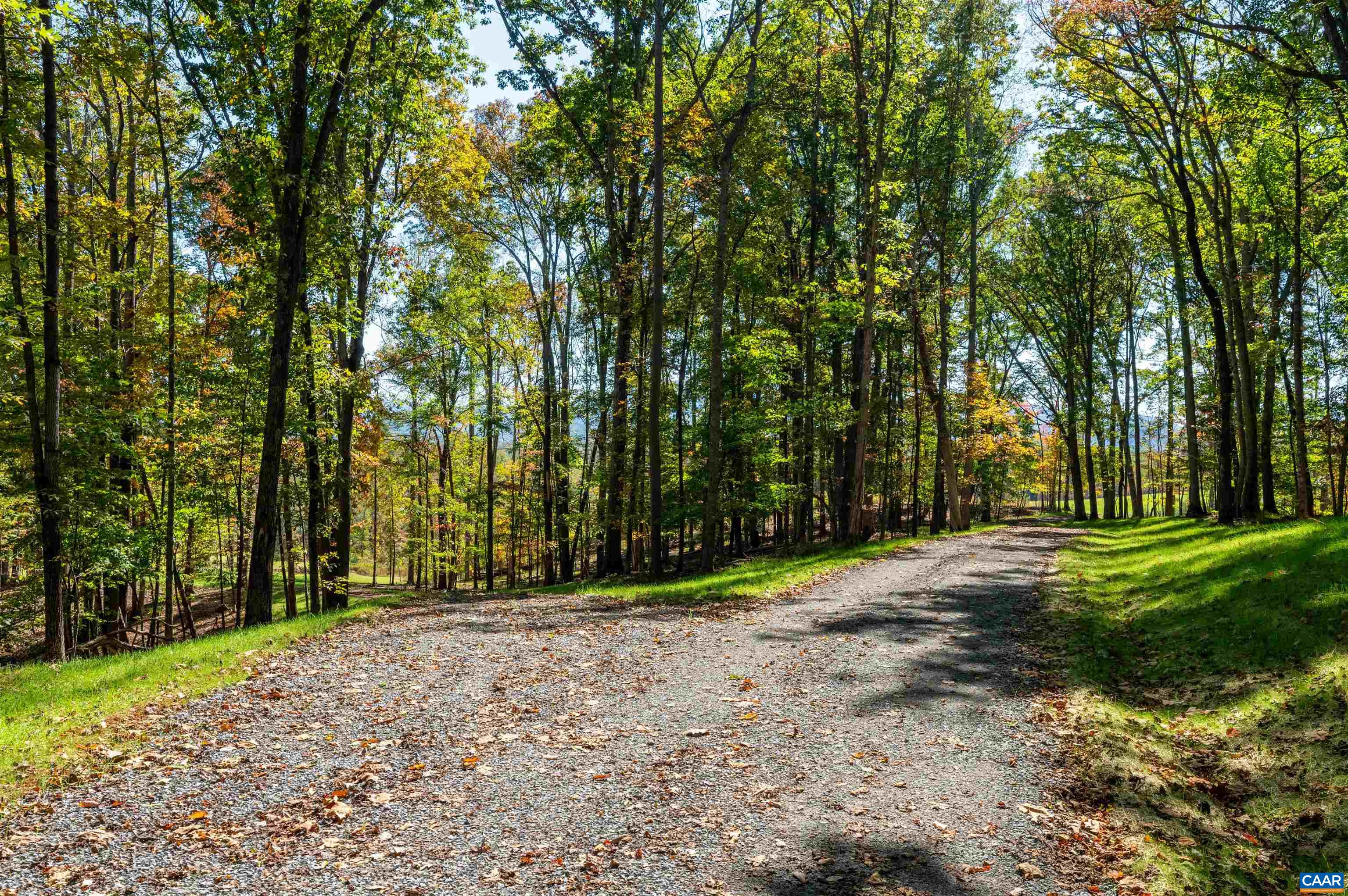 7337-4B DICK WOODS RD, AFTON, Virginia 22920, 5 Bedrooms Bedrooms, ,5 BathroomsBathrooms,Residential,Happy Hollow Lot 4,7337-4B DICK WOODS RD,676464 MLS # 676464
