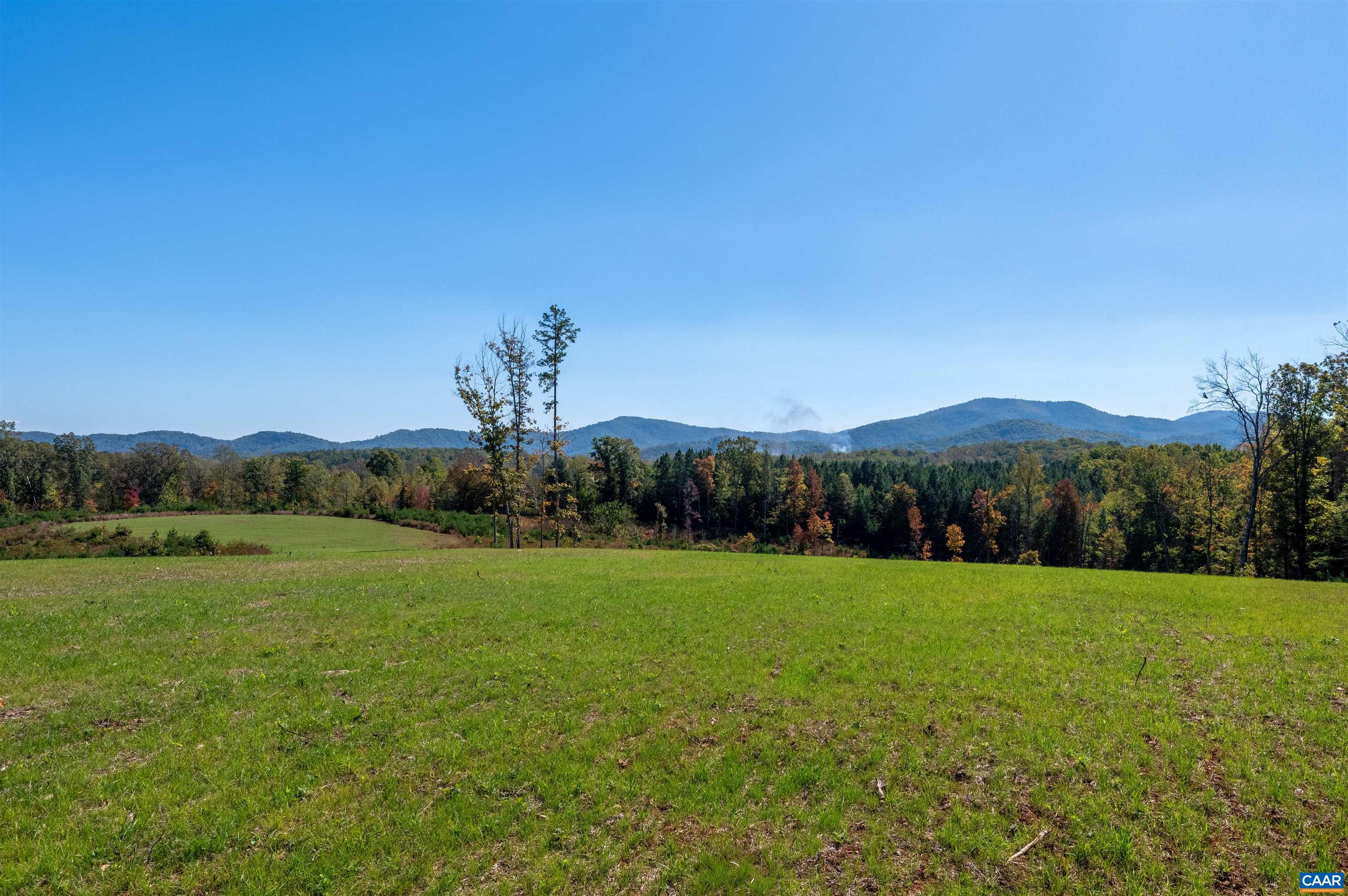 7337-4B DICK WOODS RD, AFTON, Virginia 22920, 5 Bedrooms Bedrooms, ,5 BathroomsBathrooms,Residential,Happy Hollow Lot 4,7337-4B DICK WOODS RD,676464 MLS # 676464