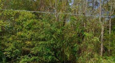 7535 HUNTERS LODGE DR, SPOTSYLVANIA, Virginia 22551, ,Land,7535 HUNTERS LODGE DR,VASP2041450 MLS # VASP2041450