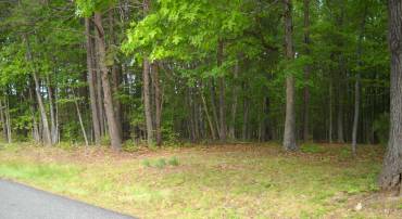 0 GOLD MINE RD, PALMYRA, Virginia 22963, ,Land,0 GOLD MINE RD,676527 MLS # 676527