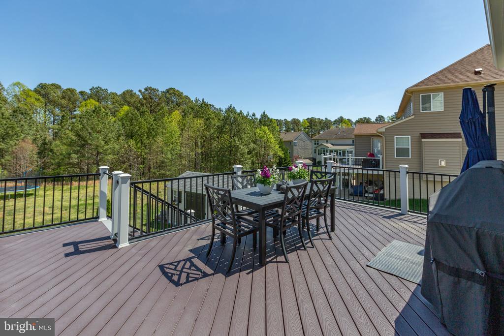 6300 PENN COVE CT, FREDERICKSBURG, Virginia 22407, 5 Bedrooms Bedrooms, ,4 BathroomsBathrooms,Residential,6300 PENN COVE CT,VASP2040900 MLS # VASP2040900