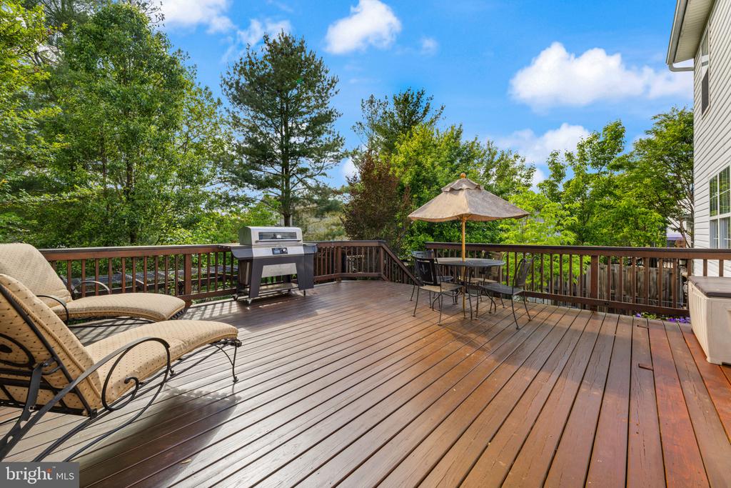 1919 MARTINA WAY, CULPEPER, Virginia 22701, 4 Bedrooms Bedrooms, ,3 BathroomsBathrooms,Residential,1919 MARTINA WAY,VACU2013414 MLS # VACU2013414