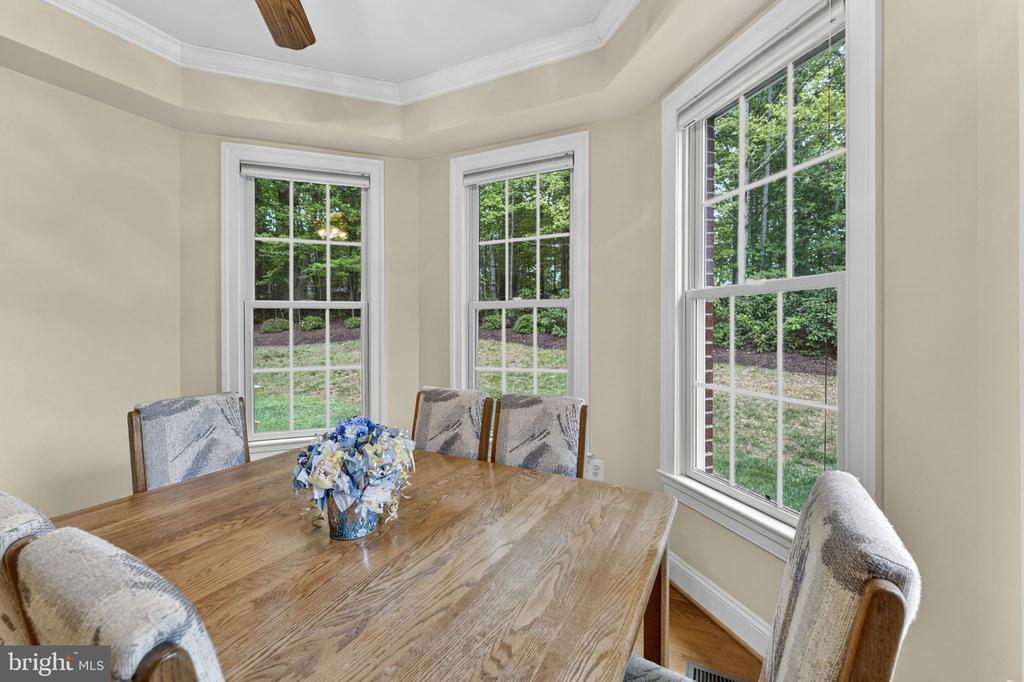 11186 PIMLICO CIR, CULPEPER, Virginia 22701, 4 Bedrooms Bedrooms, ,4 BathroomsBathrooms,Residential,11186 PIMLICO CIR,VACU2013444 MLS # VACU2013444