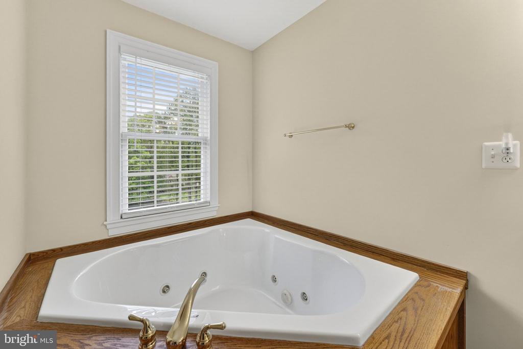11186 PIMLICO CIR, CULPEPER, Virginia 22701, 4 Bedrooms Bedrooms, ,4 BathroomsBathrooms,Residential,11186 PIMLICO CIR,VACU2013444 MLS # VACU2013444