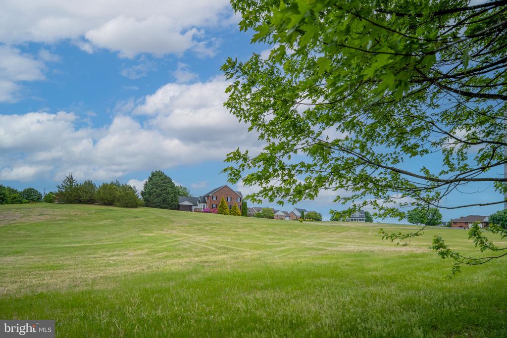 12045 PROCTOR CT, CULPEPER, Virginia 22701, 4 Bedrooms Bedrooms, ,3 BathroomsBathrooms,Residential,12045 PROCTOR CT,VACU2013472 MLS # VACU2013472