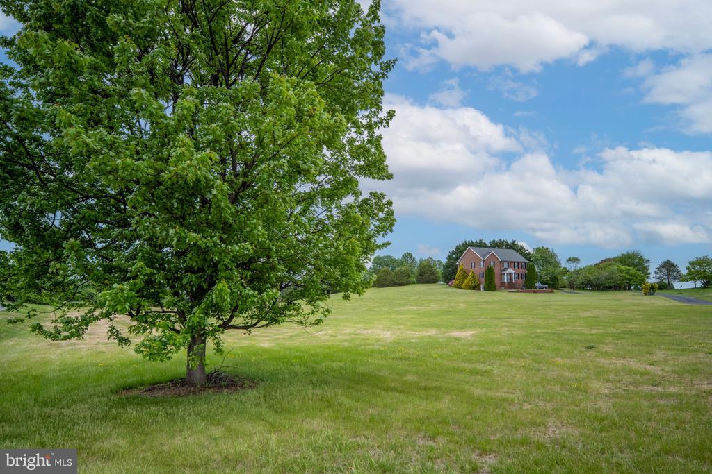 12045 PROCTOR CT, CULPEPER, Virginia 22701, 4 Bedrooms Bedrooms, ,3 BathroomsBathrooms,Residential,12045 PROCTOR CT,VACU2013472 MLS # VACU2013472