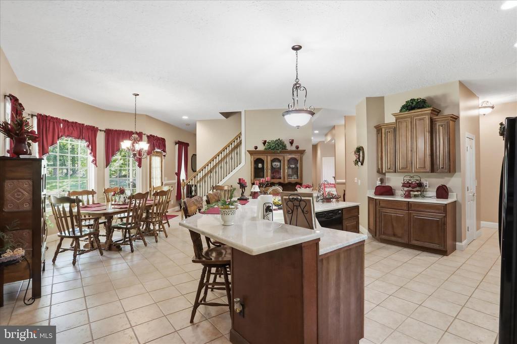 524 S MCDANIEL LN, SHENANDOAH, Virginia 22849, 6 Bedrooms Bedrooms, ,6 BathroomsBathrooms,Residential,524 S MCDANIEL LN,VAPA2006350 MLS # VAPA2006350