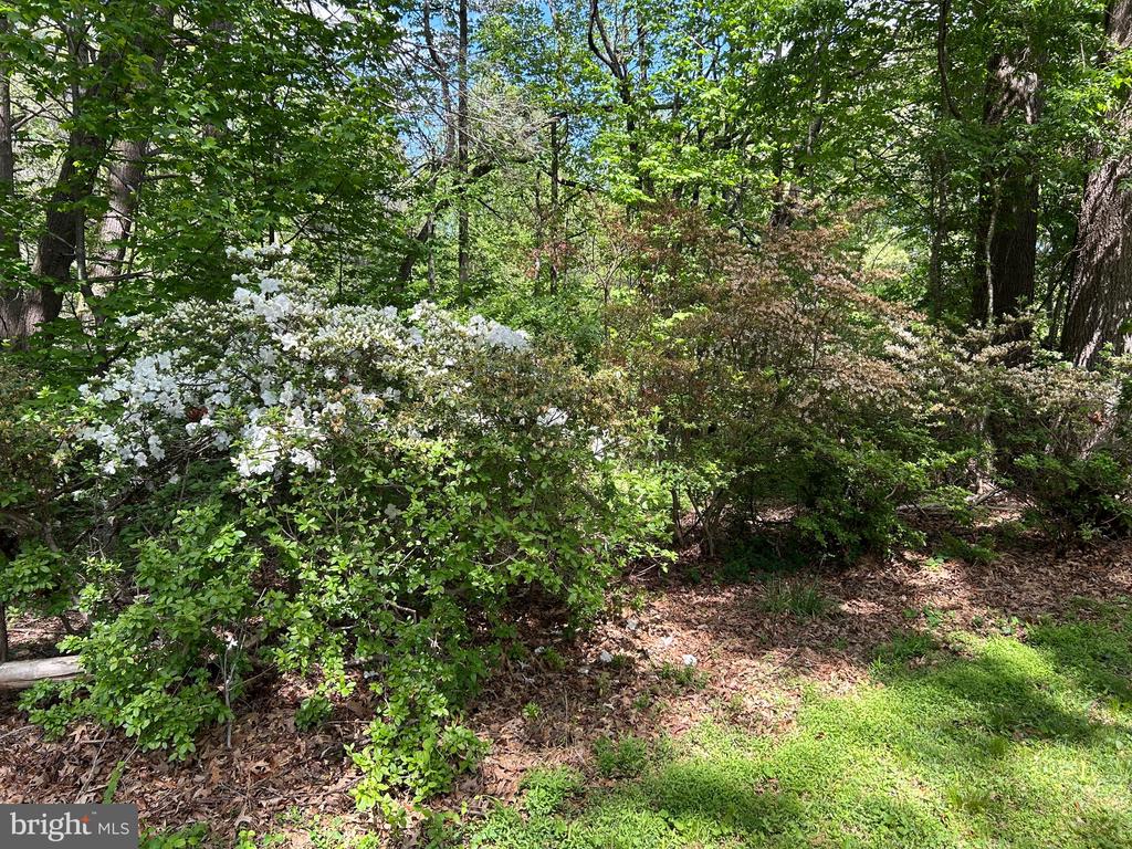 359 MALVERN DR, MADISON, Virginia 22727, 4 Bedrooms Bedrooms, ,2 BathroomsBathrooms,Residential,359 MALVERN DR,VAMA2002726 MLS # VAMA2002726
