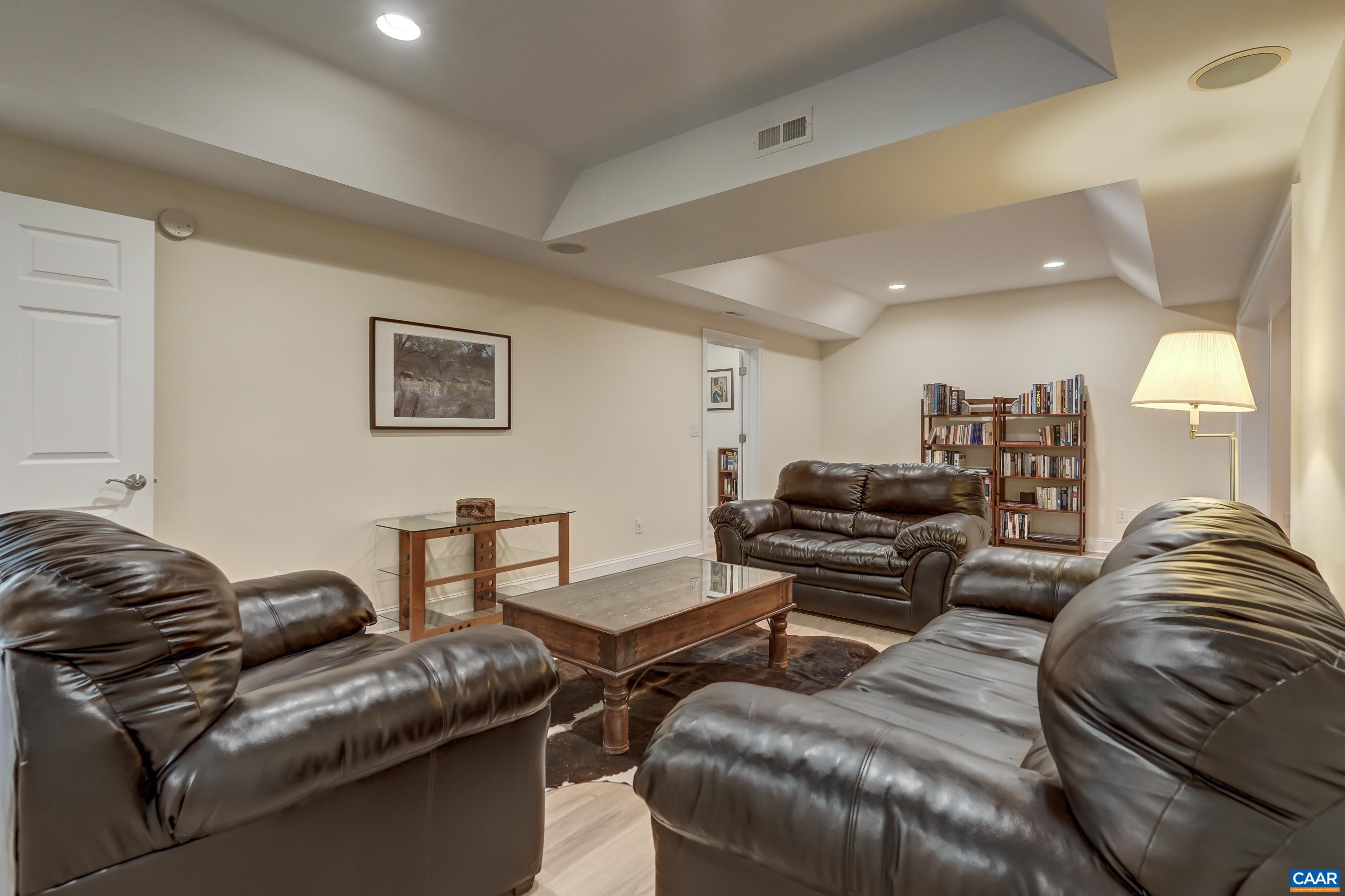 Media room/rec room
