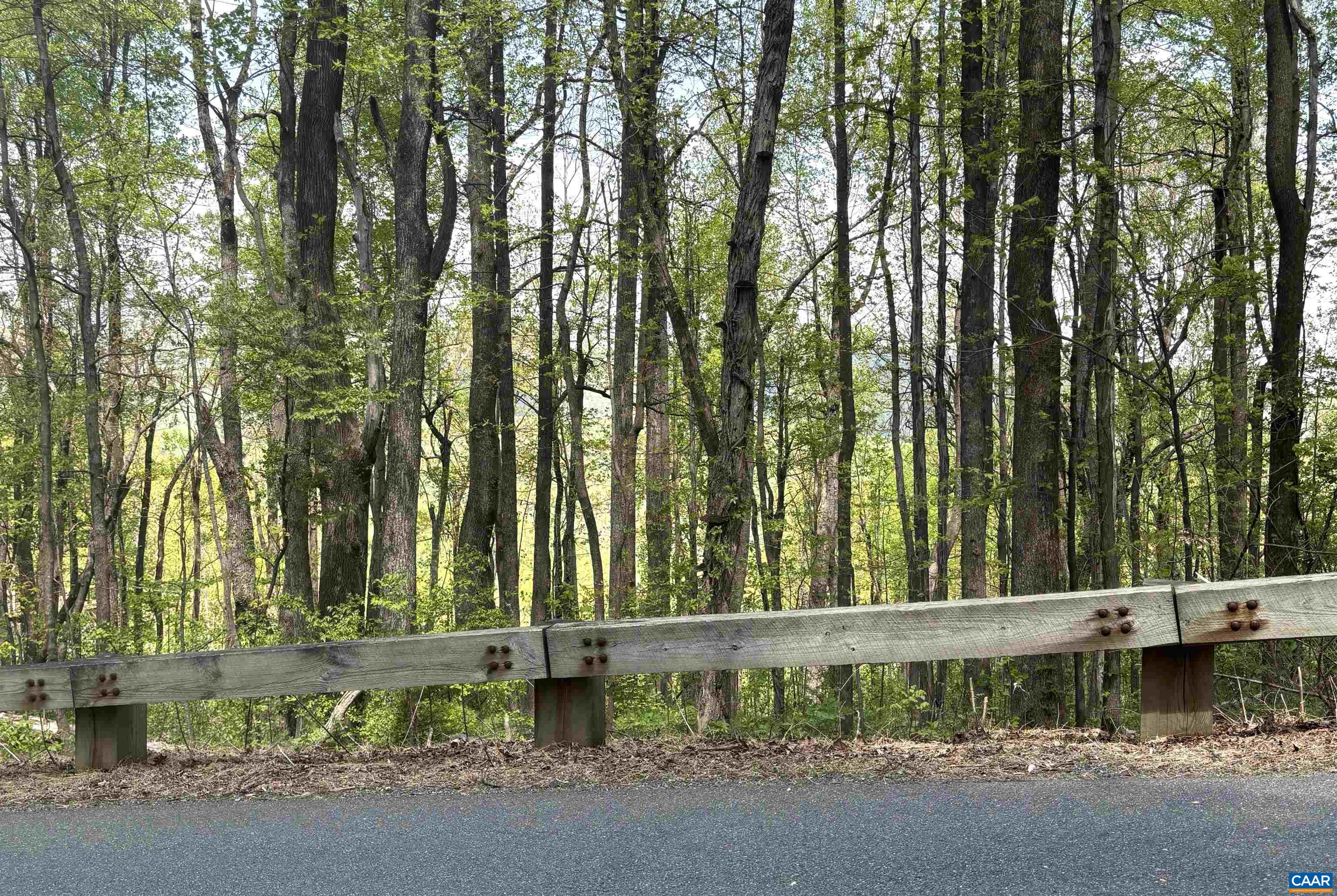000 REEDS GAP RD, LYNDHURST, Virginia 22952, ,Land,000 REEDS GAP RD,676542 MLS # 676542