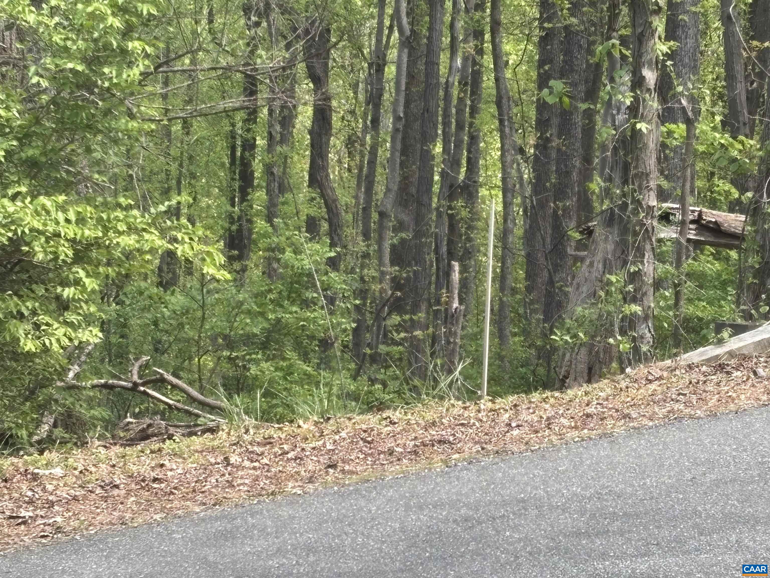 End of guardrail is the right hand side of the 25' row. Access between this and orange tape on lh side off of Reeds Gap Rd.