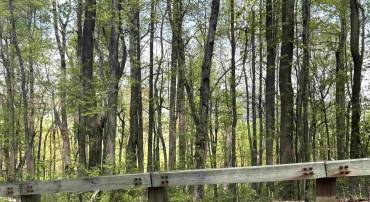 000 REEDS GAP RD, LYNDHURST, Virginia 22952, ,Land,000 REEDS GAP RD,676542 MLS # 676542