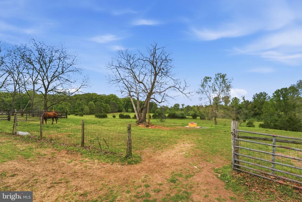 481 JAMES CITY RD, REVA, Virginia 22735, 3 Bedrooms Bedrooms, ,3 BathroomsBathrooms,Residential,481 JAMES CITY RD,VAMA2002706 MLS # VAMA2002706